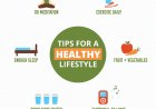 The Ultimate Guide to a Healthy Lifestyle