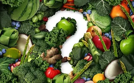 Benefits of Plant-Based Diets for Longevity