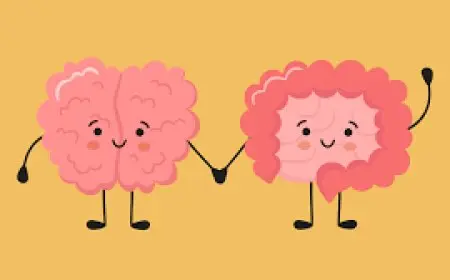 Understanding the Link Between Gut Health and Mental Health