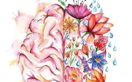 The Importance of Mental Breaks During the Day
