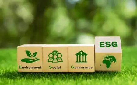 The Rise of ESG (Environmental, Social, and Governance) Investing