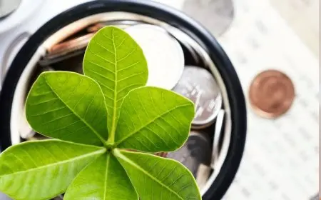 A Guide to Ethical Investing