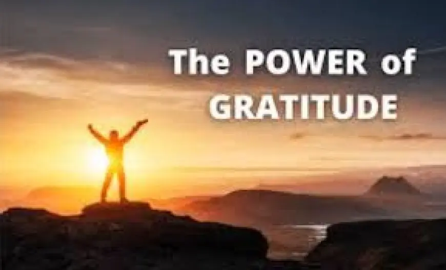 The Power of Gratitude: How It Affects Your Well-Being