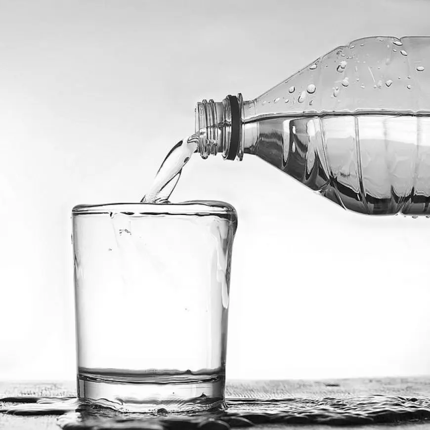 The Science of Hydration: How Much Water Should You Drink?