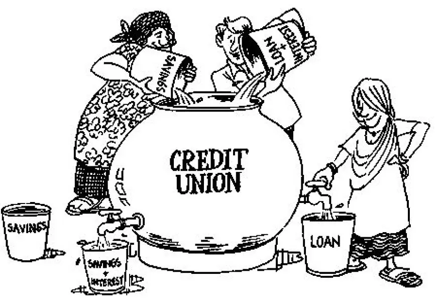 Credit Unions vs. Banks: Which is Right for You?