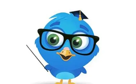 How to Write Better Essays and Research Papers