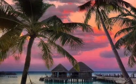 How to Plan the Ultimate Adventure Vacation