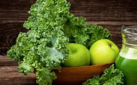 Top Foods for Bone Health