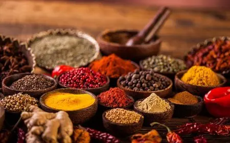 How to Use Herbs and Spices to Reduce Salt Intake
