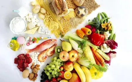 Understanding and Managing Macros in Your Diet