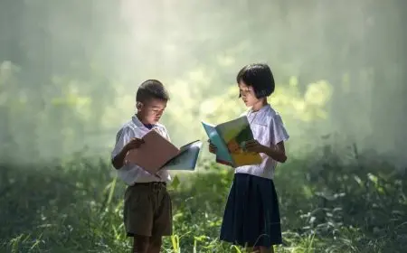 The Role of Libraries in Education