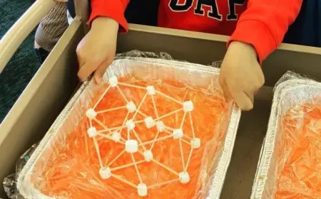 The Importance of STEM Programs for Kids