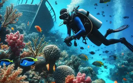 Exploring the Wonders of Underwater Diving