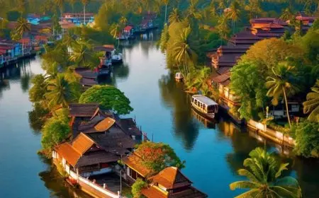 Why You Should Try a Homestay Experience