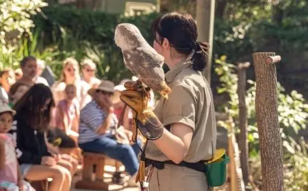 How to Experience Wildlife Safely