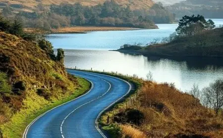 The Most Scenic Routes for Road Trips