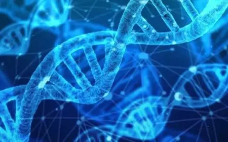 The Basics of DNA and Genetics