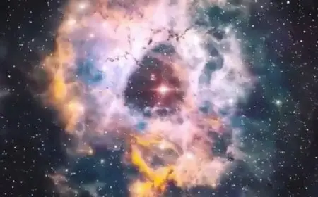 The Lifecycle of Stars: From Birth to Supernova