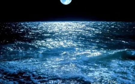Understanding the Water Cycle and Its Importance