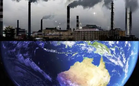 How Fossils Teach Us About Earth's Past