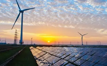 The Future of Renewable Energy Sources