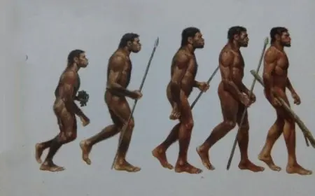 The Basics of Evolution and Natural Selection