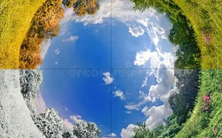 The Science of Seasons: Why They Change