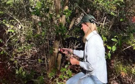 What Is Natural Selection and How Does It Work?