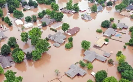 How Scientists Predict Natural Disasters