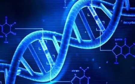 The Role of DNA in Evolution