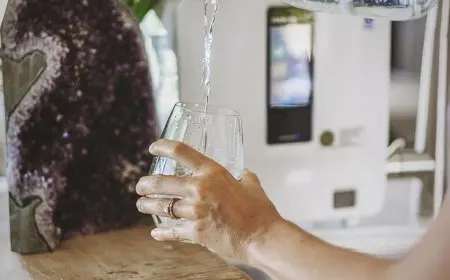Why Clean Water Is Vital for Life