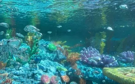 How Fish Breathe Underwater