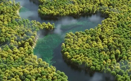 The Wonders of the Amazon River Basin