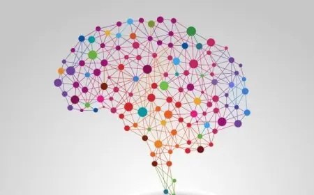 The Benefits of Cross-Functional Skills