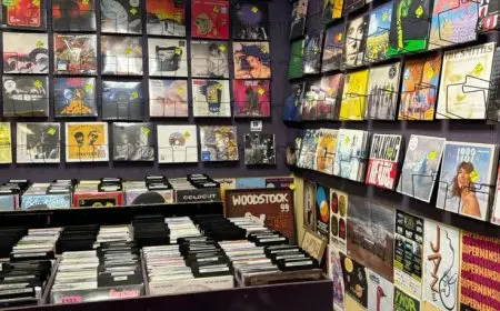 The Resurgence of Vinyl and Retro Collectibles