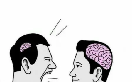 How Viral Internet Memes Shape Pop Culture