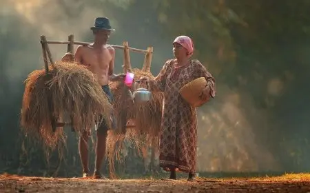 The Fascinating World of Language and Dialects