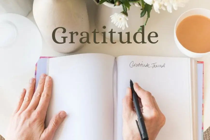 Why Gratitude Is the Key to a Fulfilling Life - BindBlog.com - Where ...