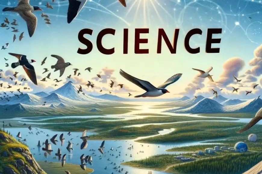 How Birds Navigate: The Science of Migration - BindBlog.com - Where ...