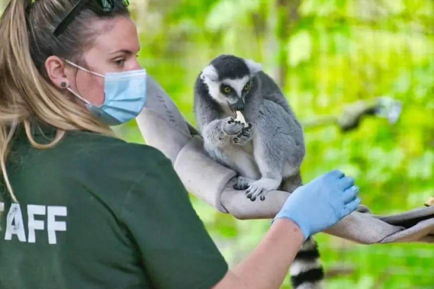 The Role of Zoos in Animal Conservation - BindBlog.com - Where Stories ...