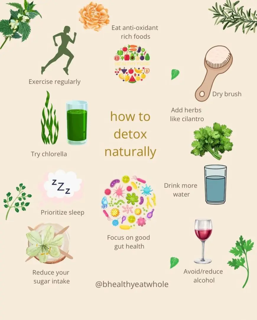 Foods That Naturally Detox the Body