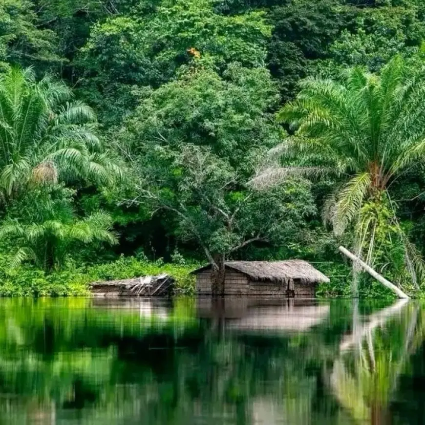 The Importance of Wetlands in Our Ecosystems